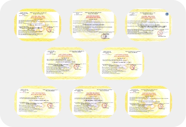 Bằng cấp