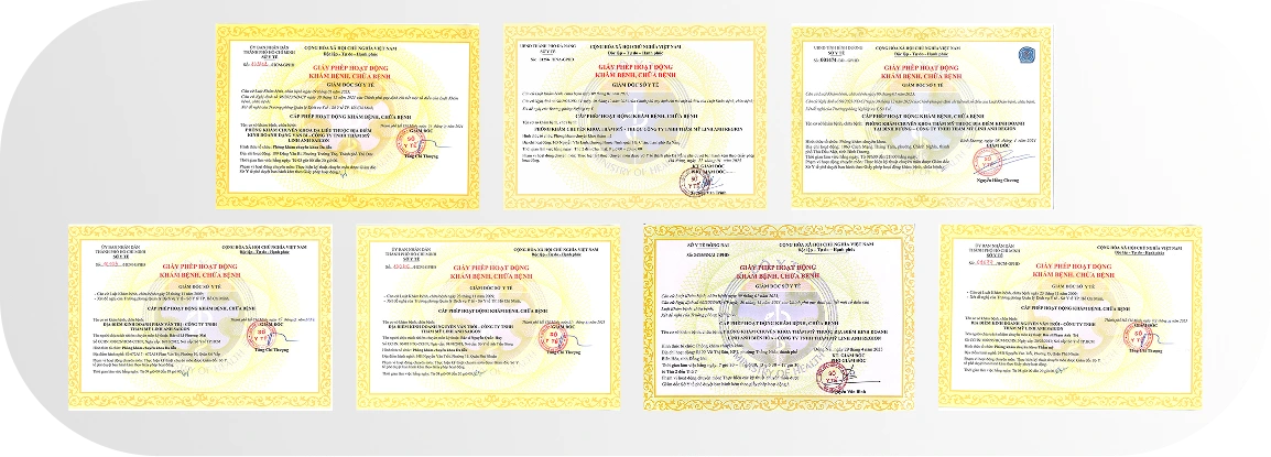 Linh Anh được cấp phép hoạt động